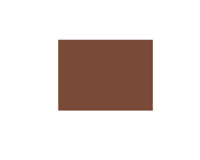 Saddle Brown Pebeo Popart Acrylic Paint, Burnt Sienna, 75ml Acrylic Paints