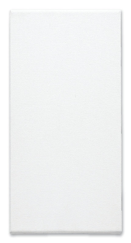 White Smoke Studio Thick Edge Canvas, 18 x 36" Canvas and Painting Surfaces