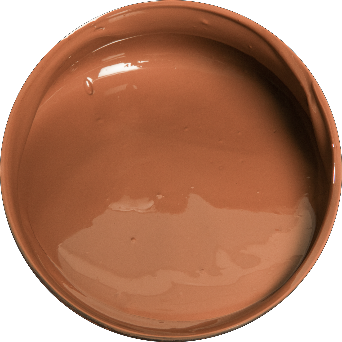 Black Eraldo di Paolo Acrylic Paint, Burnt Sienna, 500ml Acrylic Paints