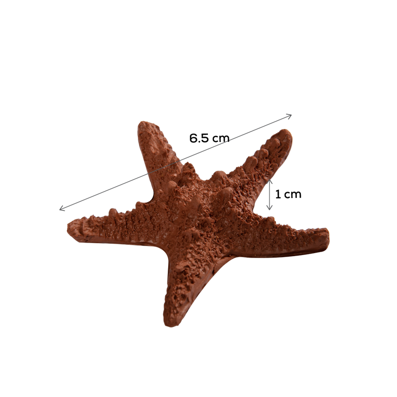 Saddle Brown The Clay Studio Starfish Silicone Mould for Polymer Clay and Resin 7.5x7.5x1.8cm Moulds
