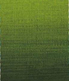 Dark Slate Gray AS Studio Blend Oil, 40ml, Sap Green Oil Paint
