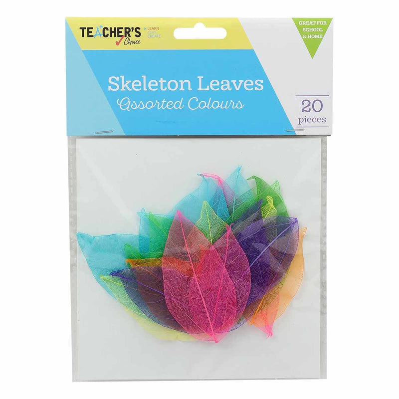 Medium Turquoise Teacher's Choice Assorted Colour Skeleton Leaves 20 Pieces Kids Craft Basics