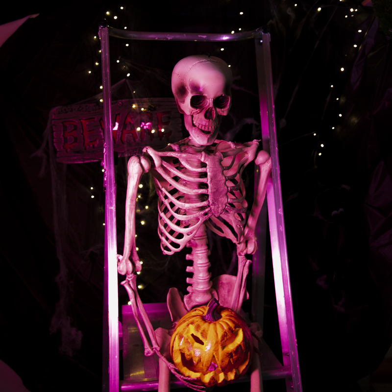 Pale Violet Red Halloween Skeleton 150cm Halloween