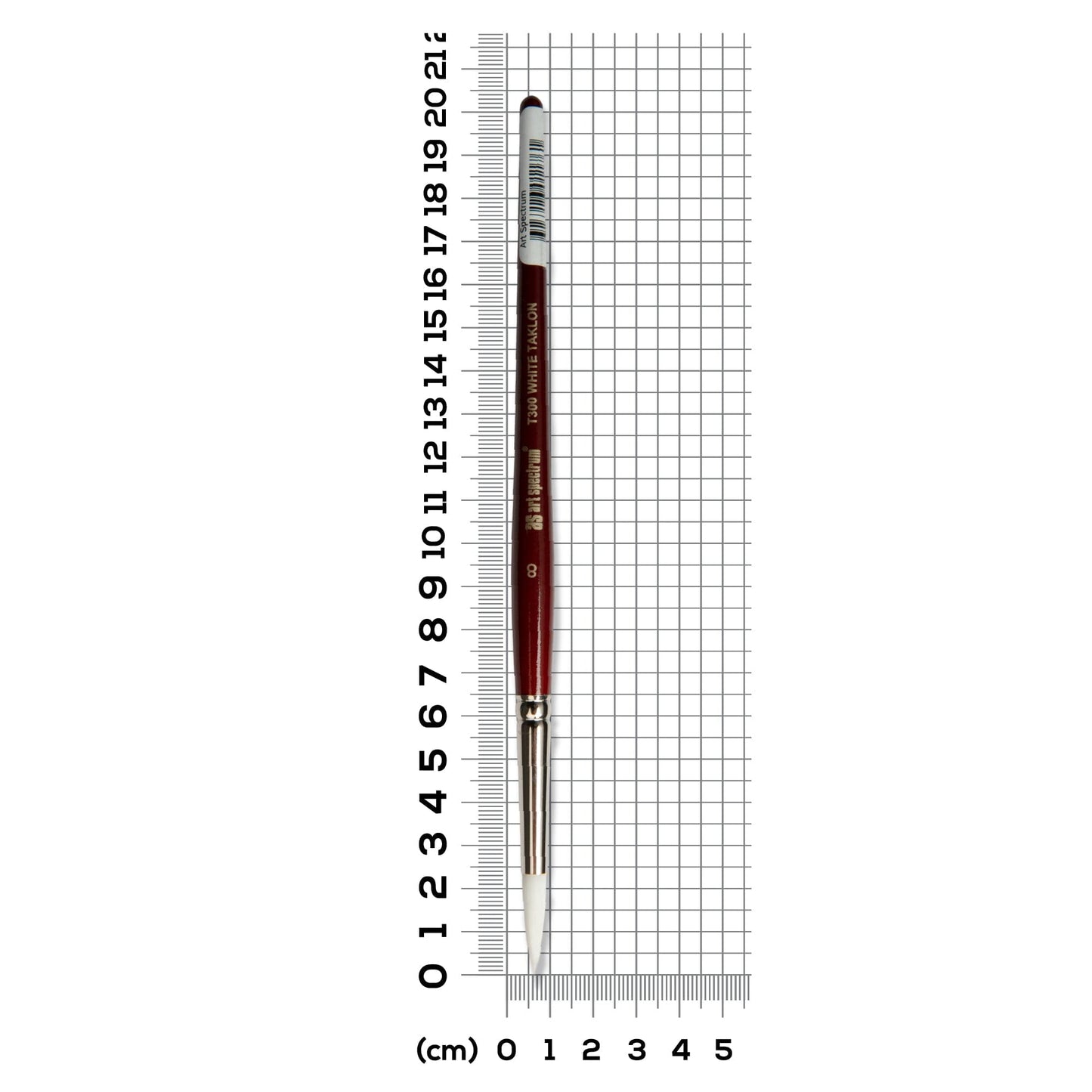 Light Slate Gray Art Spectrum Brush Series T300 White Taklon - Round Size - 8 Paint Brushes