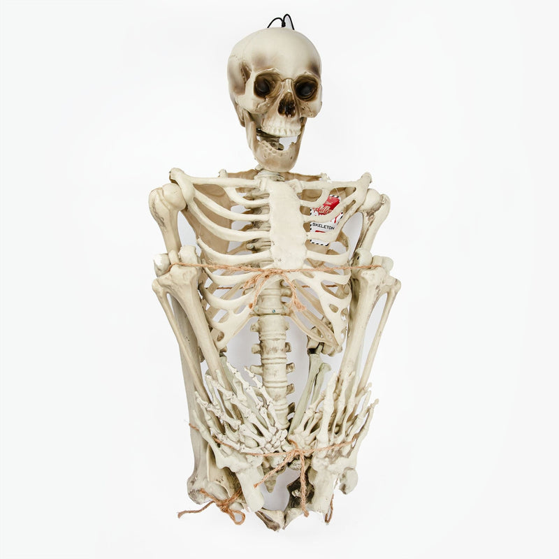 Gray Halloween Skeleton 150cm Halloween