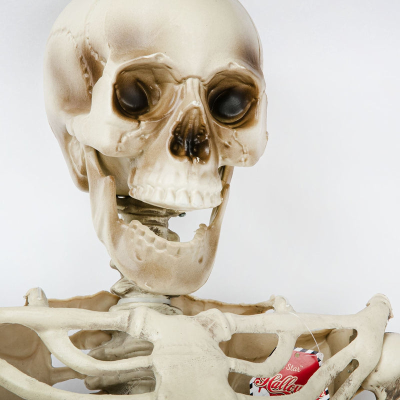 Rosy Brown Halloween Skeleton 150cm Halloween