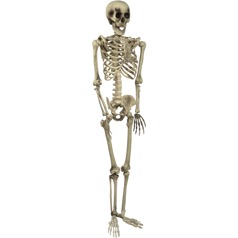 Rosy Brown Halloween Skeleton 150cm Halloween