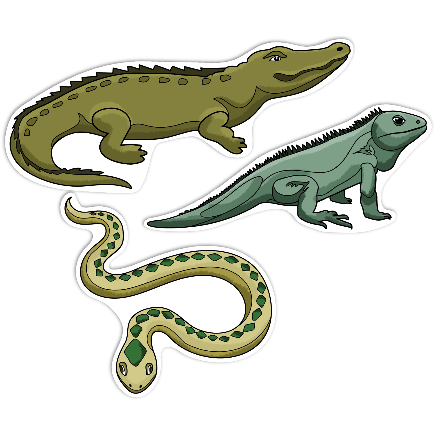 Dim Gray Teacher's Choice Paper Shapes Reptiles (12 Piece) Kids Paper Shapes
