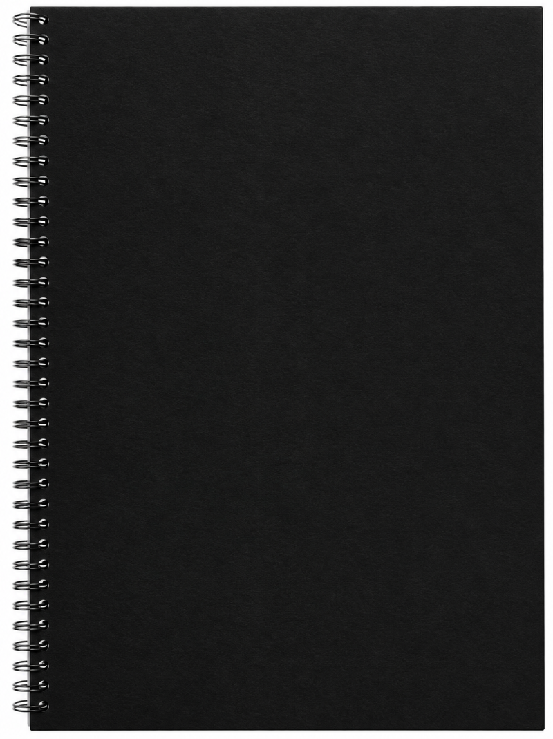 Black Riot Visual Art Diary, A4 110GSM, 60 Sheets, Black Cover Visual Art Diaries