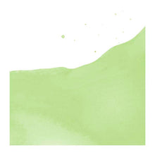 White Smoke Ecoline Liquid Watercolour Ink, 30ml - 666 -  Pastel Green Ink