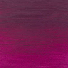 Brown Amsterdam Acrylic Paint, 120ml - 344 - Caput, Mortuum, Violet Acrylic Paints