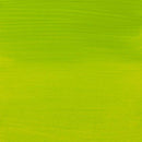 Yellow Green Amsterdam Acrylic Paint, 120ml - 617 - Yellowish Green Acrylic Paints