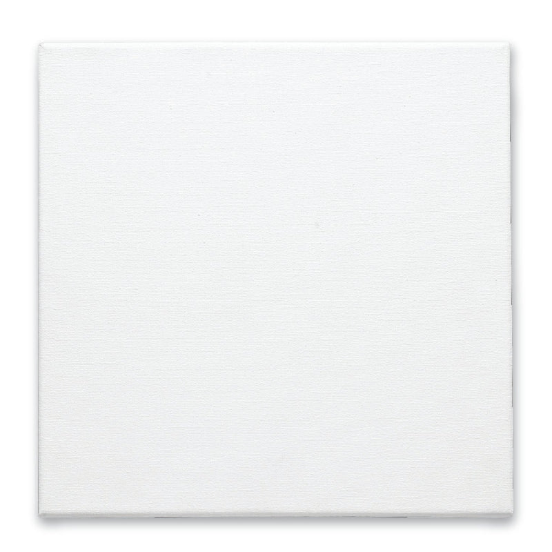 White Smoke Studio Thick Edge Canvas, 20 x 20" Canvas and Painting Surfaces