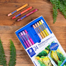Sienna Staedtler Watercolour Crayons, Assorted Colours, 24Pk Pastels & Charcoal