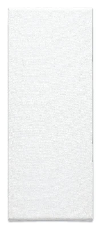 Lavender Studio Thick Edge Canvas, 24 x 60" Canvas and Painting Surfaces