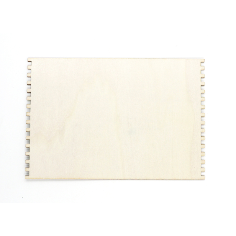 Seashell Wood Looms 12Pc Kids Craft Basics