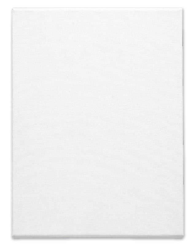 White Smoke Studio Thick Edge Canvas,  30 x 40" Canvas and Painting Surfaces