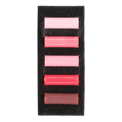 Black Rembrandt Pastels,  Warm Reds, 5 Piece Set Pastels & Charcoal