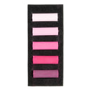 Rembrandt Pastels,  Rose Violets, 5 Piece Set