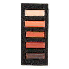 Dark Slate Gray Rembrandt Pastels,  Burnt Sienna, 5 Piece Set Pastels & Charcoal