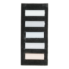 Dark Slate Gray Rembrandt Pastels,  Light Greys, 5 Piece Set Pastels & Charcoal