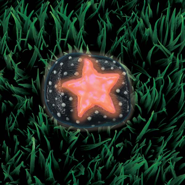 Black Faber Castell Creativity for Kids Glow in the Dark Rock Painting Kit Kids Craft Kits