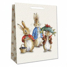 Misty Rose Hallmark Beatrix Potter Gift Bag Bags & Invitation