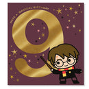Dim Gray Connections from Hallmark Harry Potter 9th Birthday Greeting Card Bags & Invitation