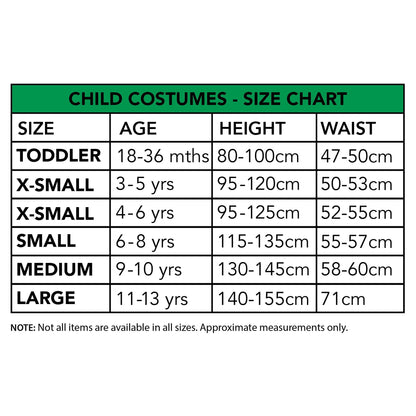 Wicked Elphaba Deluxe Child Costume