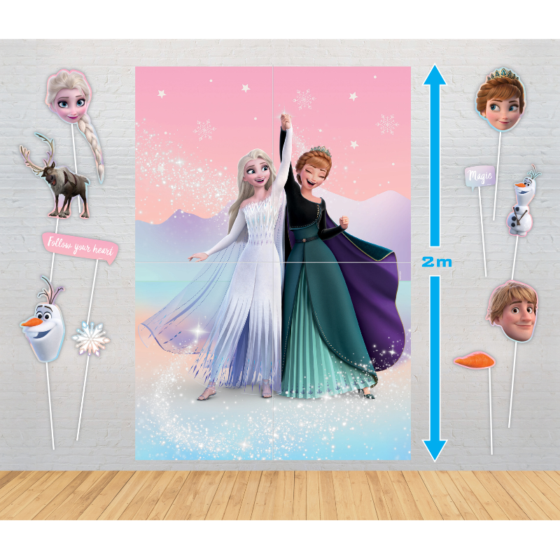 Light Gray Poster Photo Props - Frozen Themed Parties