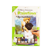 Seashell Royal & Langnickel Painting By Numbers Junior  Small Fishing Buddies Kids Painting Supplies