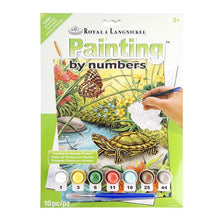 Seashell Royal & Langnickel Paint By Numbers Junior Small Red Ear Slider Kids Painting Supplies