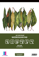 White Smoke Art Spectrum 100% Cotton Watercolour Pad, A3 300gsm cold pressed 15 sheets Pads