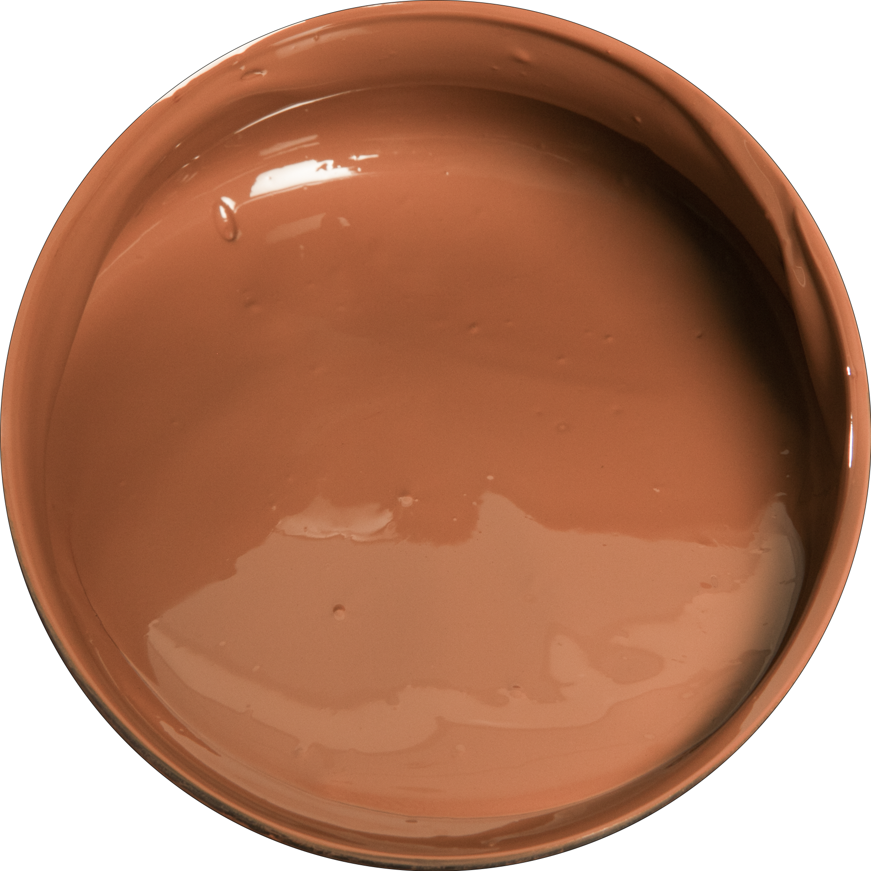 Black Eraldo di Paolo Acrylic Paint, Burnt Sienna, 500ml Acrylic Paints