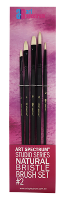 Rosy Brown AS Studio Series Natural Bristle Brush Set