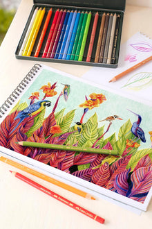 Seashell Polychromos Colour Pencil Assorted, Tin of 24 Pencils