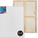Light Gray 30 x 40 inches Eraldo di Paolo Gallery Wrapped  Stretched Canvas Gallery Wrapped Stretched Canvas