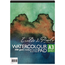 Dark Slate Gray Eraldo di Paolo A3 Cold Pressed Watercolour Pad 300gsm 100% Cotton 10 Sheets Watercolour Pads