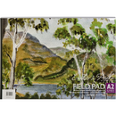 Dim Gray Eraldo Di Paolo A2 Field Pad 225gsm 25 Sheets Pads