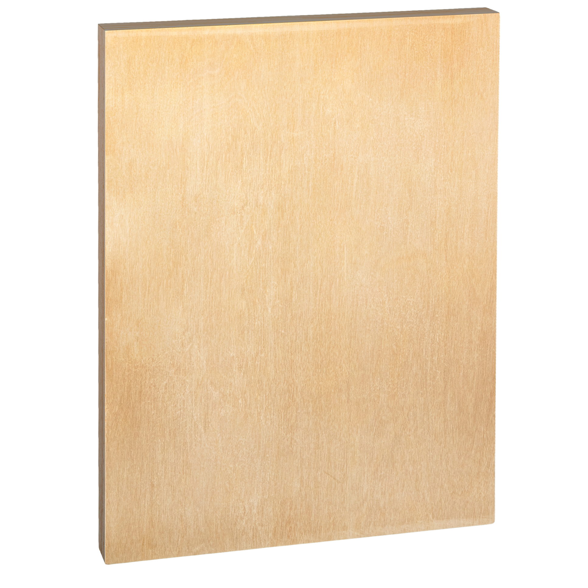 Light Goldenrod The Art Studio Wooden Panel 30x40cm 20mm Deep Canvas and Painting Surfaces