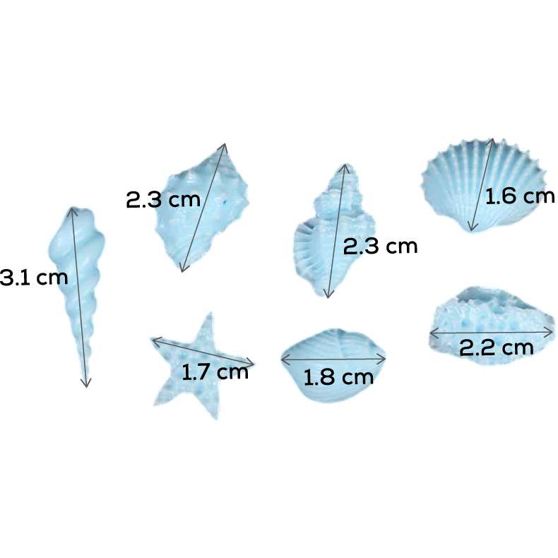 Light Blue The Clay Studio Conch Silicone Mould for Polymer Clay and Resin 7.6x1.3cm Moulds