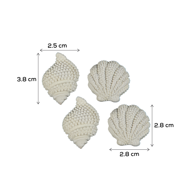 Gray The Clay Studio Conch And Shell Silicone Mould for Polymer Clay and Resin 7x1cm Resin Craft Moulds