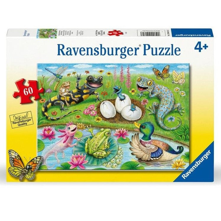Jigsaw puzzle box featuring colorful hatchlings, frogs, geckos, butterflies, and 60-piece badge