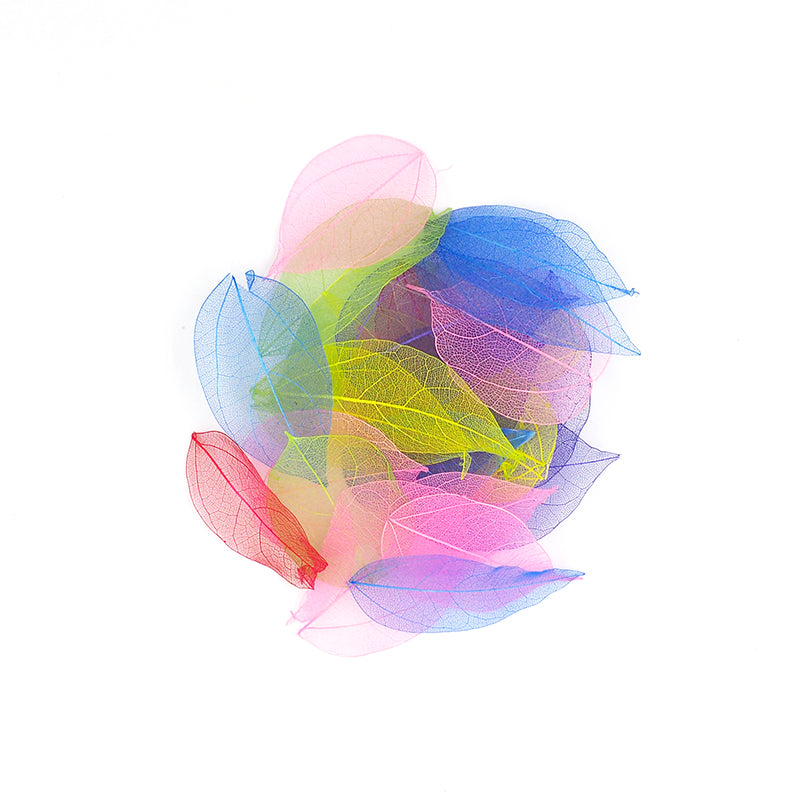 White Smoke Skeleton Leaves Multicoloured 80Pc Craft Basics
