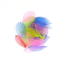 Skeleton Leaves Multicoloured 80Pc