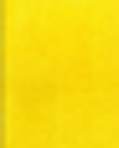 Gold AS Studio Blend Watercolour, 10ml, Lemon Yellow Watercolour Paint