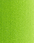 Yellow Green AS Studio Blend Watercolour, 10ml, Sap Green Watercolour Paint