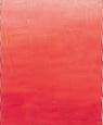 Tomato AS Studio Blend Oil, 150ml, Cadmium Red Hue Oil Paint