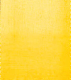 Gold AS Studio Blend Oil, 40ml, Cadmium Yellow Hue Oil Paint
