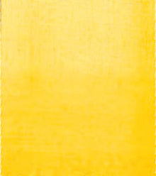 Gold AS Studio Blend Oil, 40ml, Cadmium Yellow Hue Oil Paint